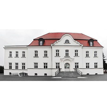 Palazzo Adler Bed & Breakfast Swarzedz Exterior photo